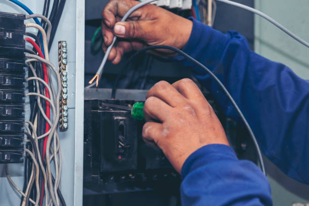 Best Electric Panel Repair  in Iowa Colony, TX